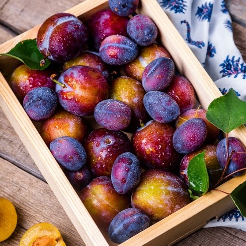 plums-1898196640 plums-1898196640